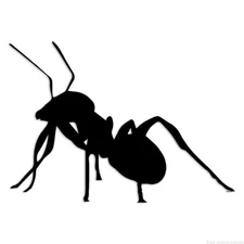 Ant - Decal Sticker - Multiple Colors & Sizes - ebn6794