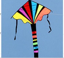 Fun Sports Colorful Bug Kite Outdoor Sports Kite Beach Sports Kite Kids Sports