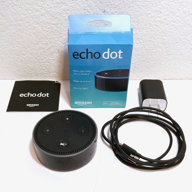 ebay echo dot