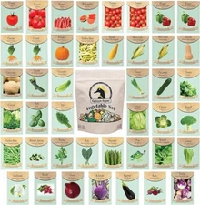 Set of 43 Assorted Vegetable & Herb Seed Packets - over 10,000 Seeds! 