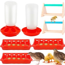 7 Pack Chick Feeder and Waterer Kit No Waste with Chick Perch Flip Top Small ...