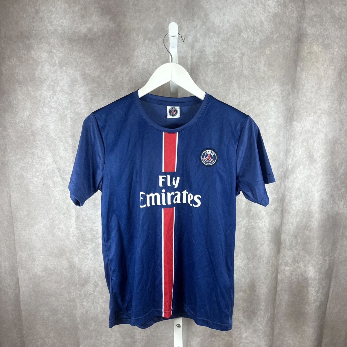 Zlatan Ibrahimovic Paris Saint-Germain International Club Soccer