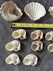Assorted Mixed Seashells Lot for Crafts & Decor (As Pictured) — photo 10