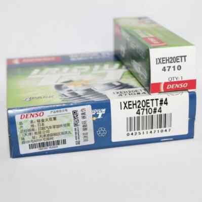 化石　E-12 化石 E-12 化石 E-12 美術品・アンティーク・コレクション