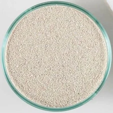 Arag-Alive Bahamas Oolite Aquarium Sand (20 lbs) 0.25 - 1.0mm - Caribsea