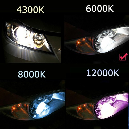 D1S D1R OEM Xenon Hi Lo Beam Headlight Bulbs For Cadillac Escalade ESV 2003-2014 - Picture 11 of 12