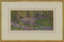 Contemporary Watercolour - Bluebell Woods