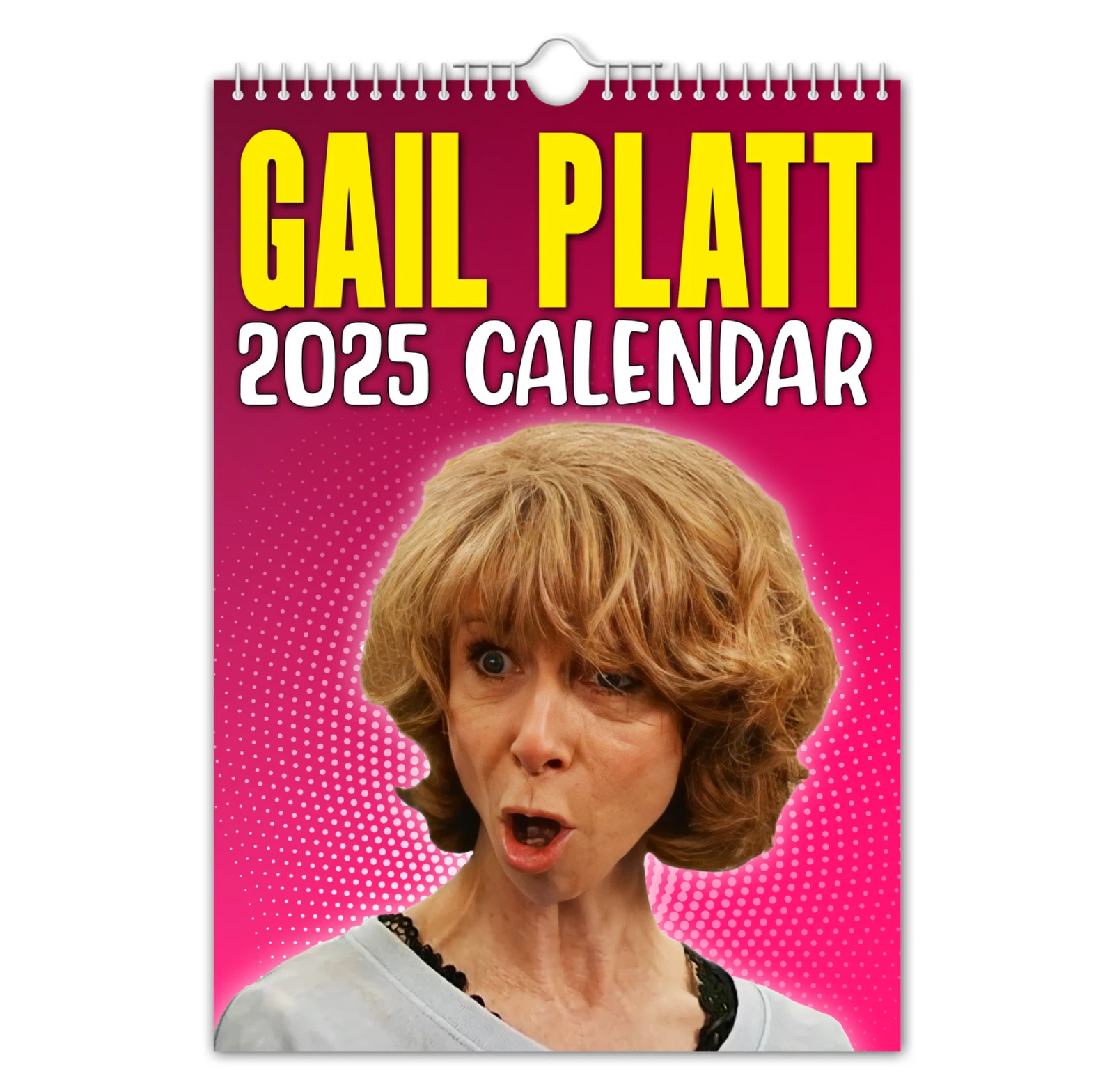 2025 Calendar - Gail Platt – Funny - Quirky - Christmas - Birthday