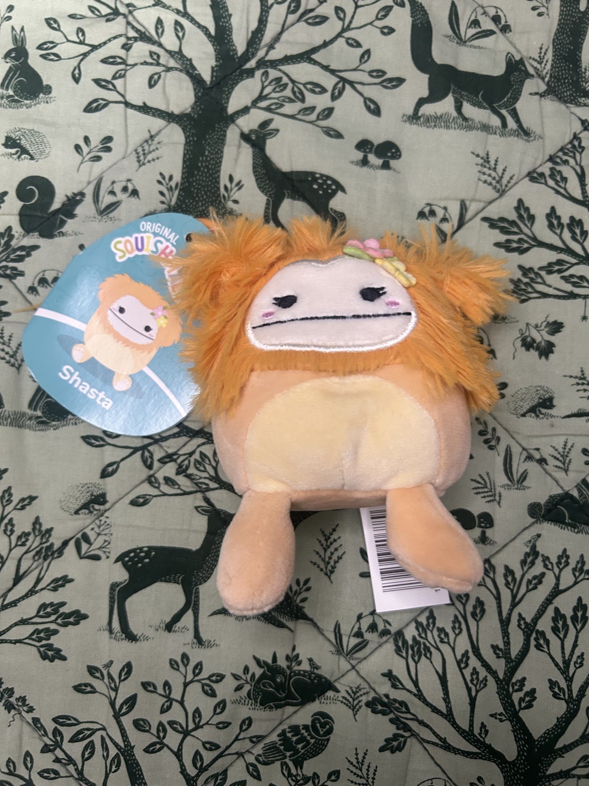 Shasta The Orange Bigfoot Squishmallows Set Of 3 Stuff Plush Bnwt 3.5 , 5 , 12 