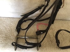 Horse Bridle And Bit