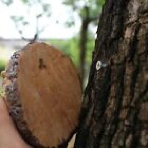 Realistic Tree Wall Mount Statues Weatherproof Garden Ornament Garden