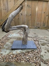 Natural Driftwood for reptiles