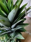 Solid 925 Sterling Silver w/gold and CZ Accents Hawaiian Plumeria Lei Ring — photo 3