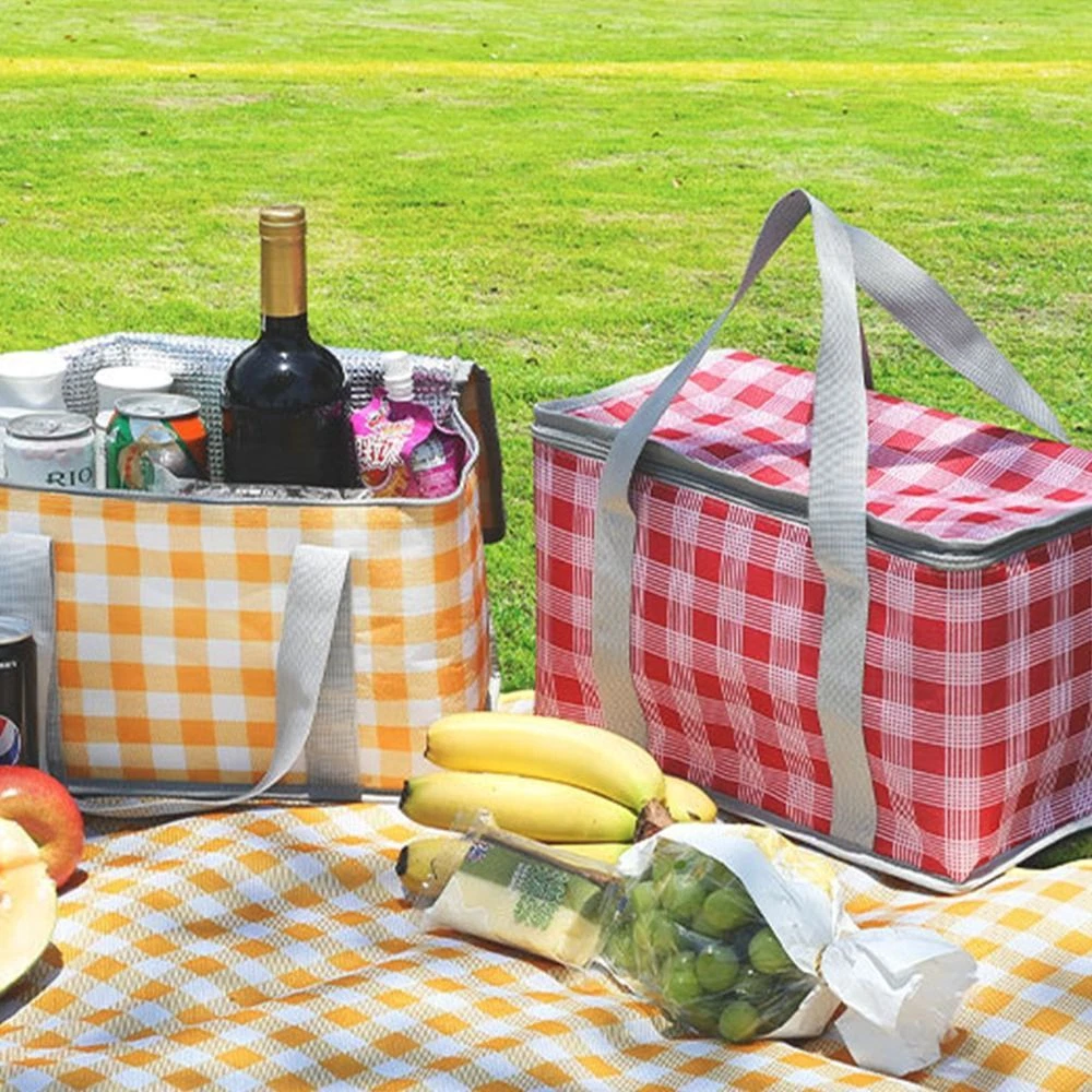 Cooler picnic bag online