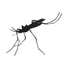 Bug Mosquito Pest - Vinyl Decal Sticker - Multiple Colors  Sizes - ebn2905