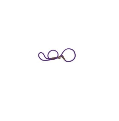 MENDOTA Slip Lead for Dogs Purple 1/2 x 6' 