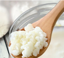 Organic Kefir Grains Probiotic Make Homemade Milk Kefir 1 Tbsp
