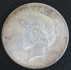 1925 Peace Silver Dollar 90%