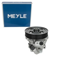 Meyle Hydraulikpumpe Lenkung FüR Ford Galaxy II Mondeo IV S-MAX 1.8/2.0 Tdci