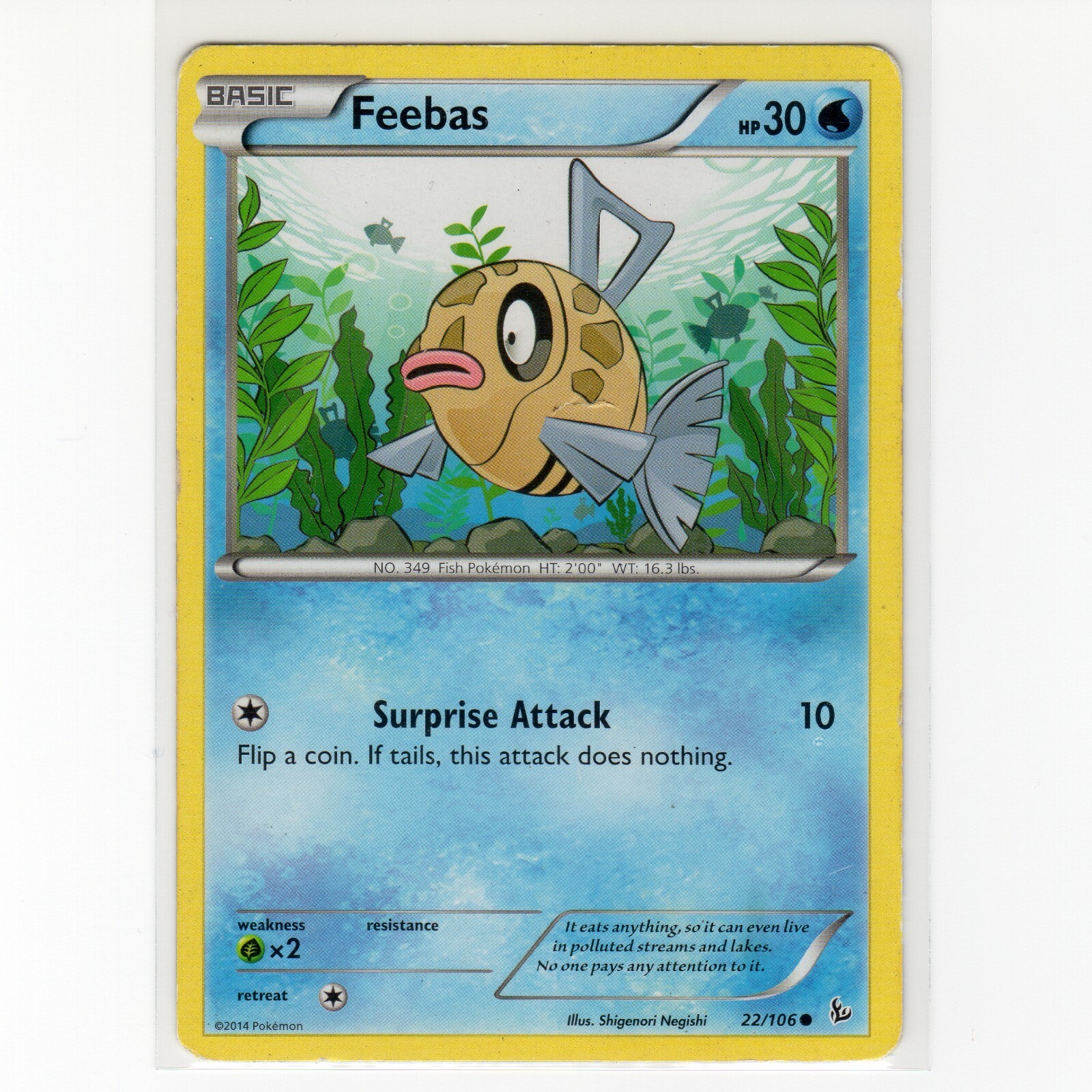 Pokémon TCG Feebas 22/106 XY Flashfire Regular Common Card EN-LP 2014