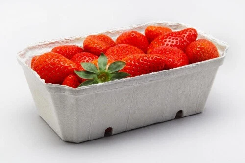 PRO DP VERPACKUNGEN 480 Beerenschalen Obst/Gemüse Verkaufsschalen 500g Holzschliff kompostierbar