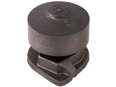 For 2008-2010 Blue Bird All American RE Water Pump Gates 59232JCGF 2009