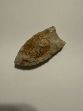 2 Inch Clovis Paleo Point Ex Roth Collection Noble Co Indiana