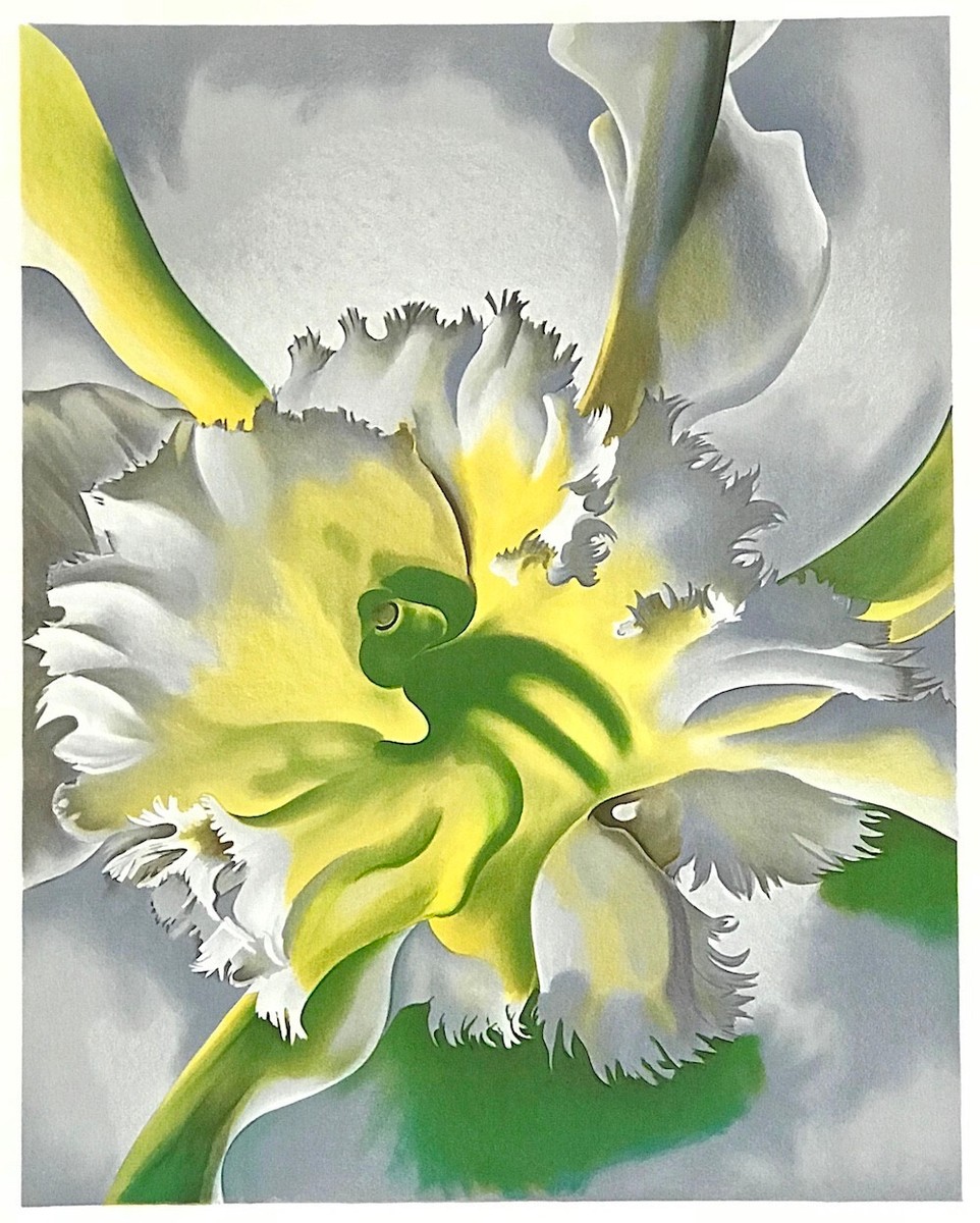 Georgia O'Keeffe AN ORCHID 1941, Lithograph, Flower Close-Up