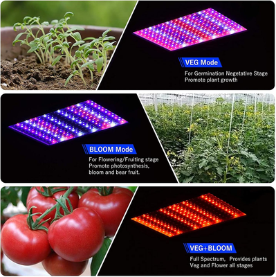 Light Likesuns 1000W LED Grow Light For Indoor Plants - Full Spectrum ...