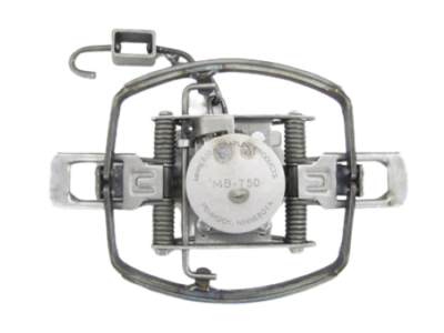 #ad #ad 1 MB 750 Alaksan Wolf 1 4 Offset Jaw Trap Foothold Nuisance Trapping 7 7 8quot; $75.00