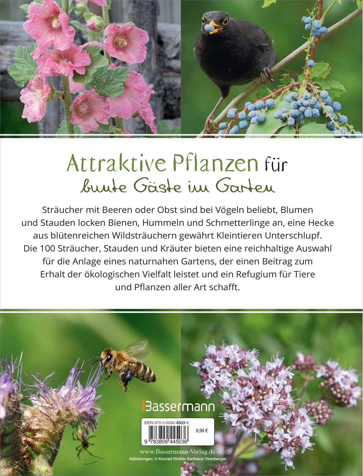 Thumbnail - Ursula Kopp Die 100 Besten Pflanzen Für Vögel, Bienen, Schmetterlinge