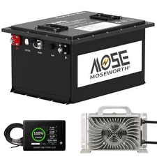 48V 105Ah Golf Cart LiFePO4 Lithium Battery 200A BMS 10Year Lifespan 20000 Cycle