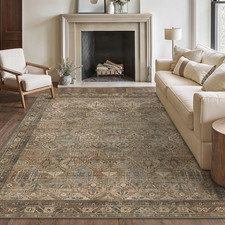 Washable Rug 8X10 Area Rug for Living Room Bedroom Dining, Washable Vintage Prin