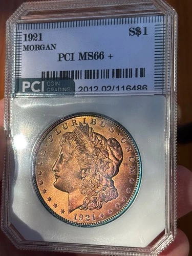 1921 MS66 Morgan Silver Dollar Green Holder PCI  Toned!
