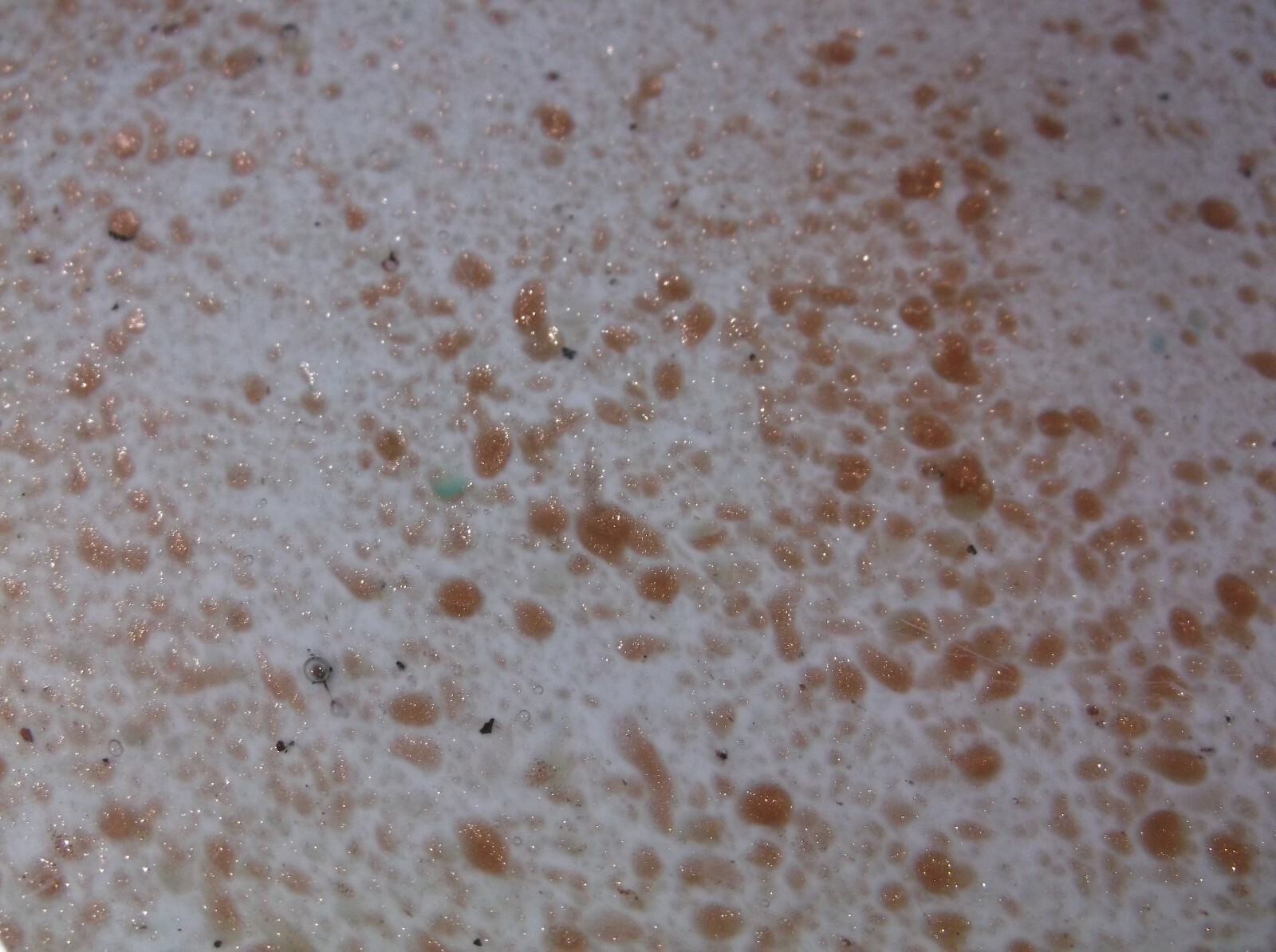 Picture 6 of 7
