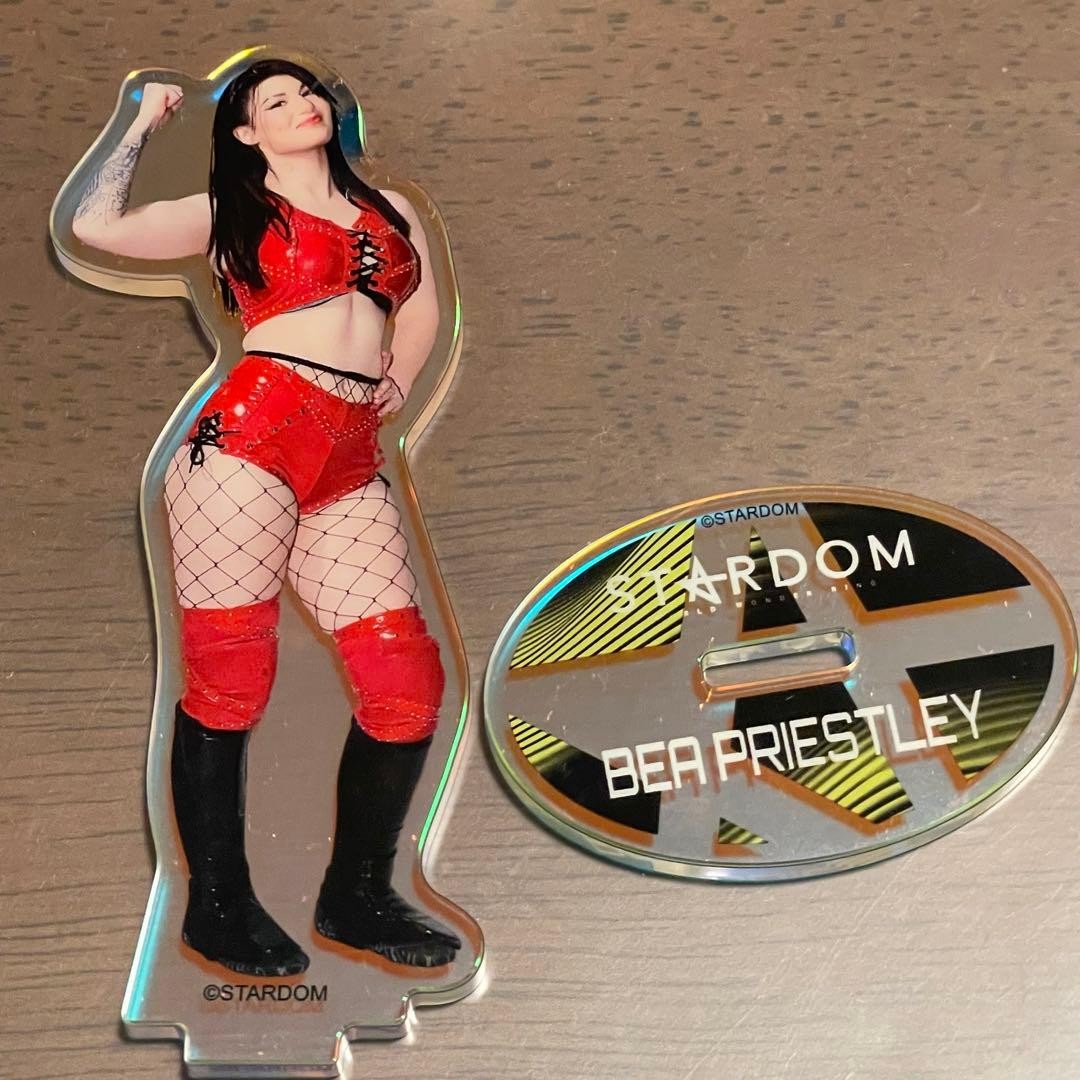 STARDOM Bee Prestory Acrylic Stand Random Aurora Girls Pro Wrestling Collection