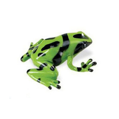 Frog, Poison Dart Frog Green and Black Plastic Toy Realistic Model