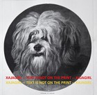 Dog Skye Terrier Cairnach Queen Victoria's Pet, Large 1890s Antique Print