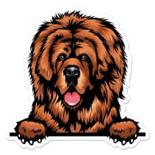 Peeking Tibetan Mastiff, Vinyl Decal Sticker, Indoor Outdoor, 3 Sizes, #11652