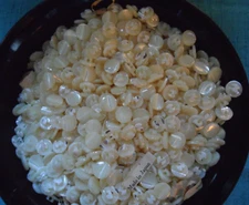 24 Vintage White/Off White Mother of Pearl Buttons -7/16 in- ITEM# 1-14