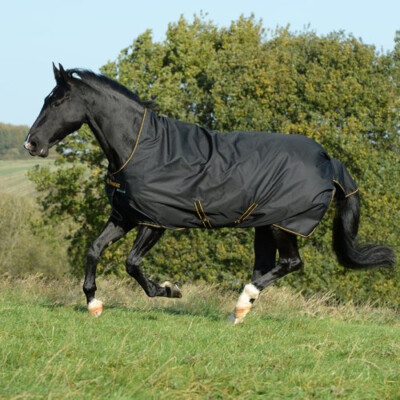 Bucas Irish Turnout light 50g High Neck - black (schwarz) /gold - (UVP  145,00)