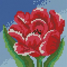 Diamond painting kit - Little tulip by Diamondmosaic