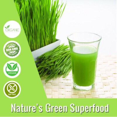Bio Weizengrassaftpulver - genial für Keto - reich an Kalium