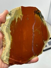 Royal Imperial Jasper Slab Cabbing Collecting Mexican Combo Ship Avail