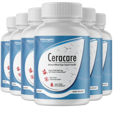 6 Bottles Ceracare Powerful Blood Sugar Support 360 Capsules