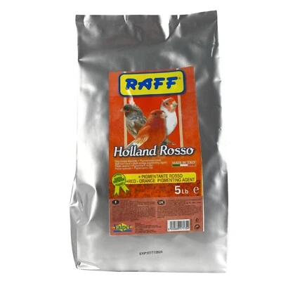 Holland Rosso | Raff, ideal for birds with a red factor in their plumage