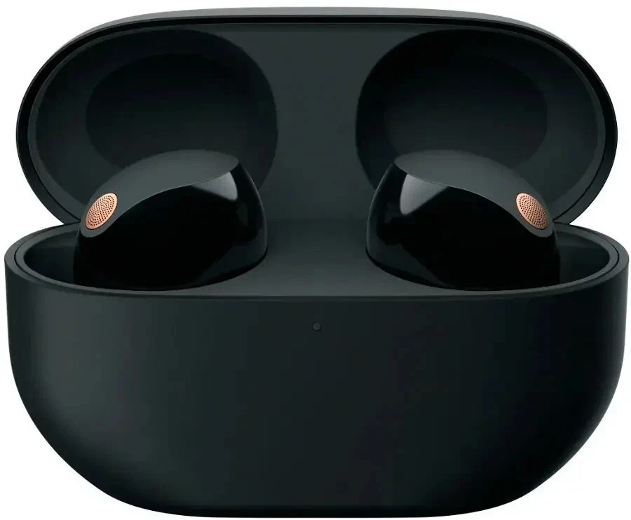Sony WF-1000XM5 Wireless Headphones - Black for sale online