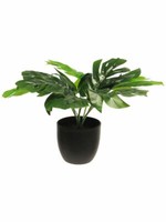 KüNstliche Monstera Sunshine Pflanze GrüN Ca.28Cm Im Kunststofftopf Kunstpflanze