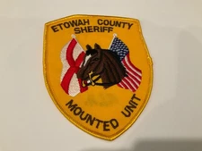 Colorful Etowah County Sheriff Mounted Unit State Alabama Al Police Horse