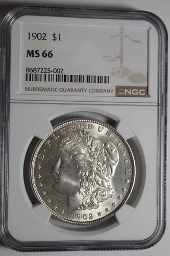 1902 P Bright White Morgan Silver Dollar NGC MS66 #002